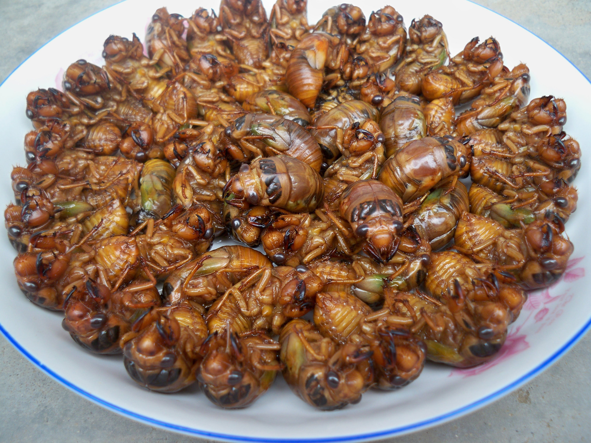 首先知了这东西油炸之后,好吃又不占肚子,是绝好的下酒菜