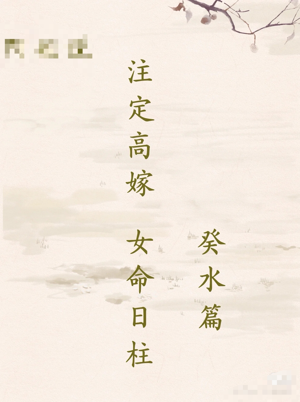 高嫁女命之癸水