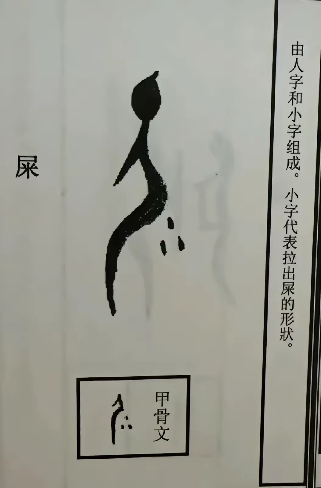 换个角度看世界#甲骨文你就说有趣不有趣? "屎"字由人字和小字组成