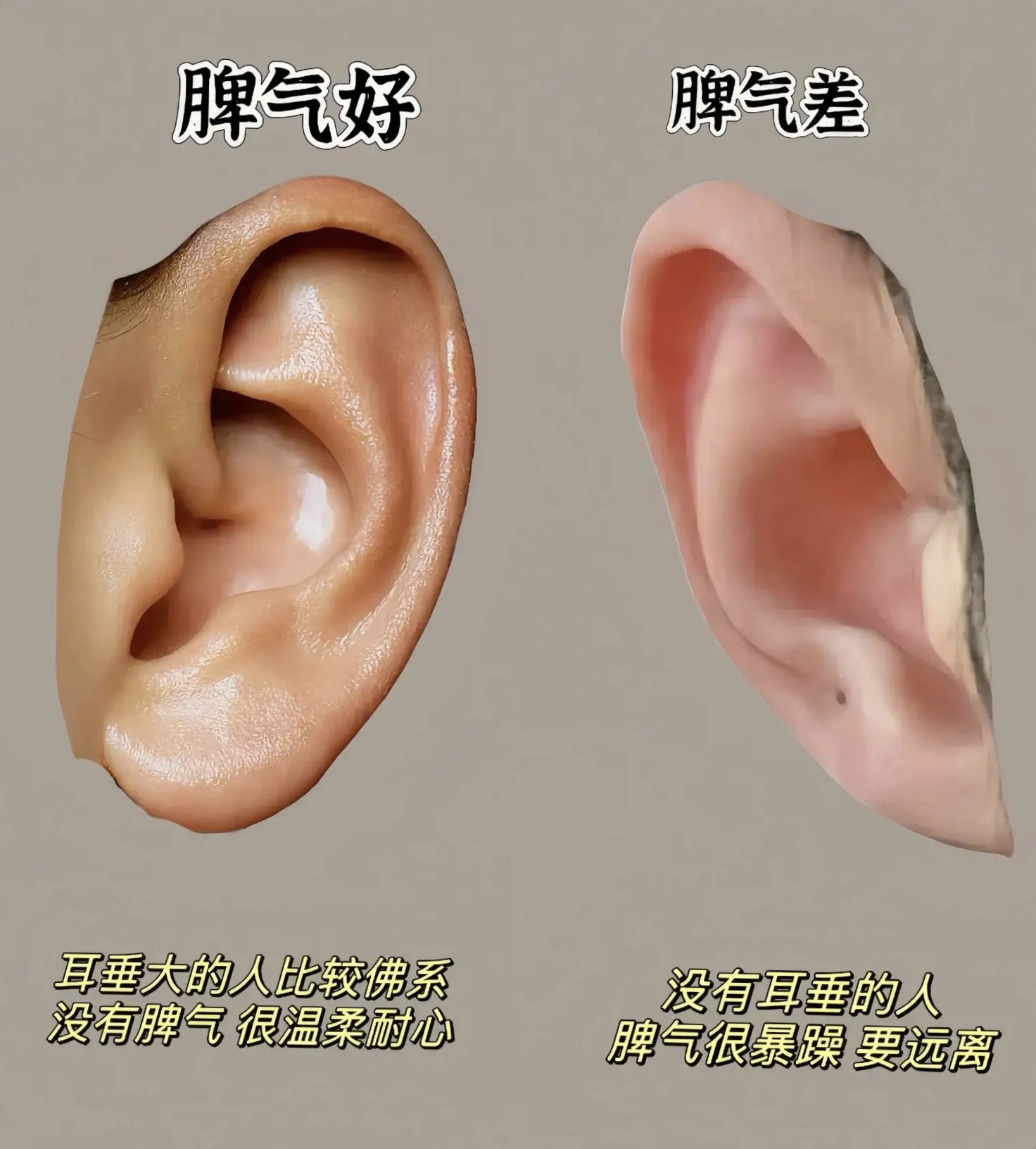 你的五官竟藏着30年命运密码?