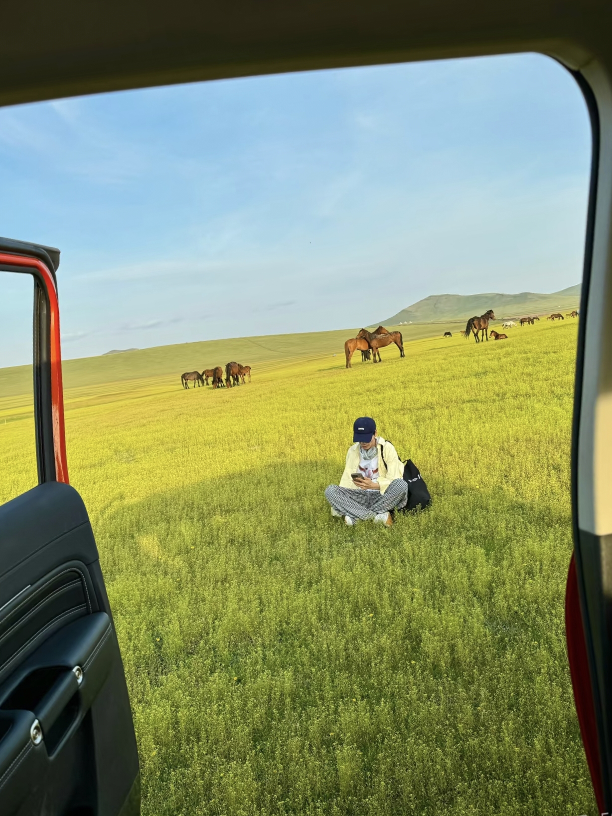 站在草原中央,突然就懂了——