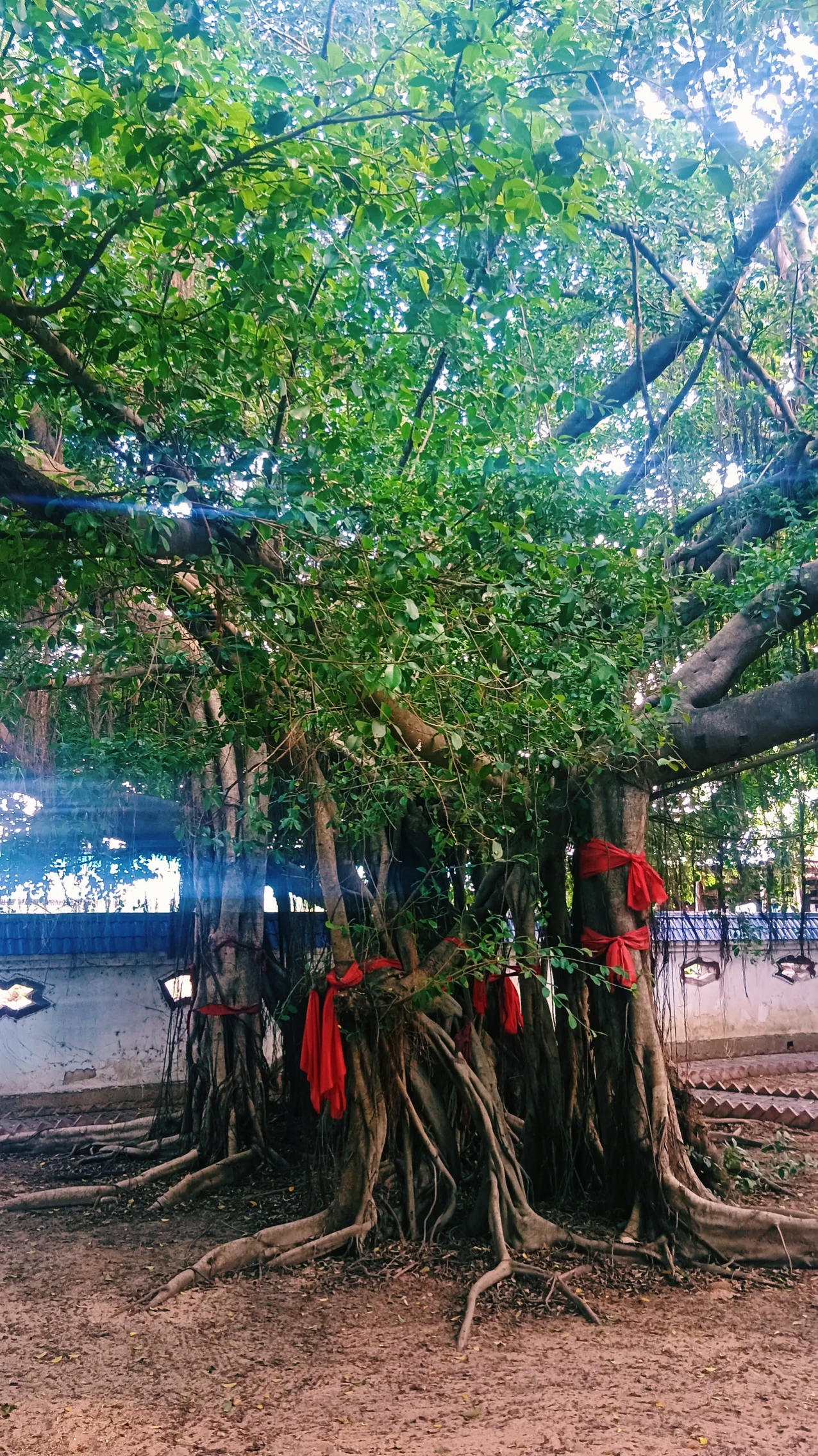 或许很多人都以为海南岛千百年来不连大陆孤悬南海之滨,一定是个蛮瘴