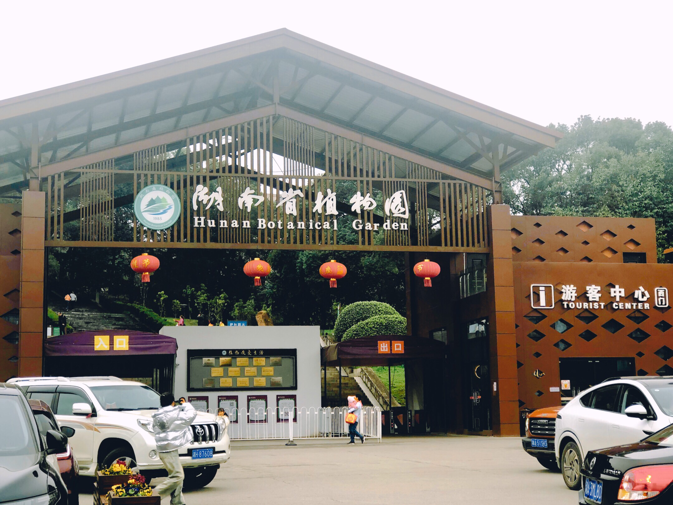走进三月细雨里的湖南植物园樱花世界