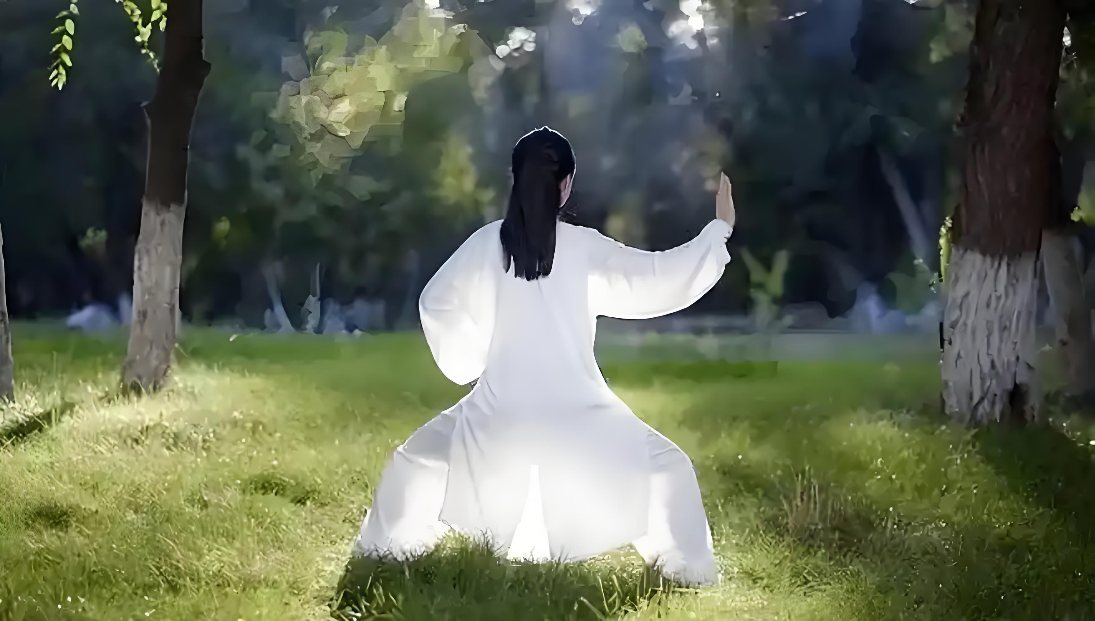 静功作为太极内功的核心载体,其重要性主要体现在三个方面:首先,静态