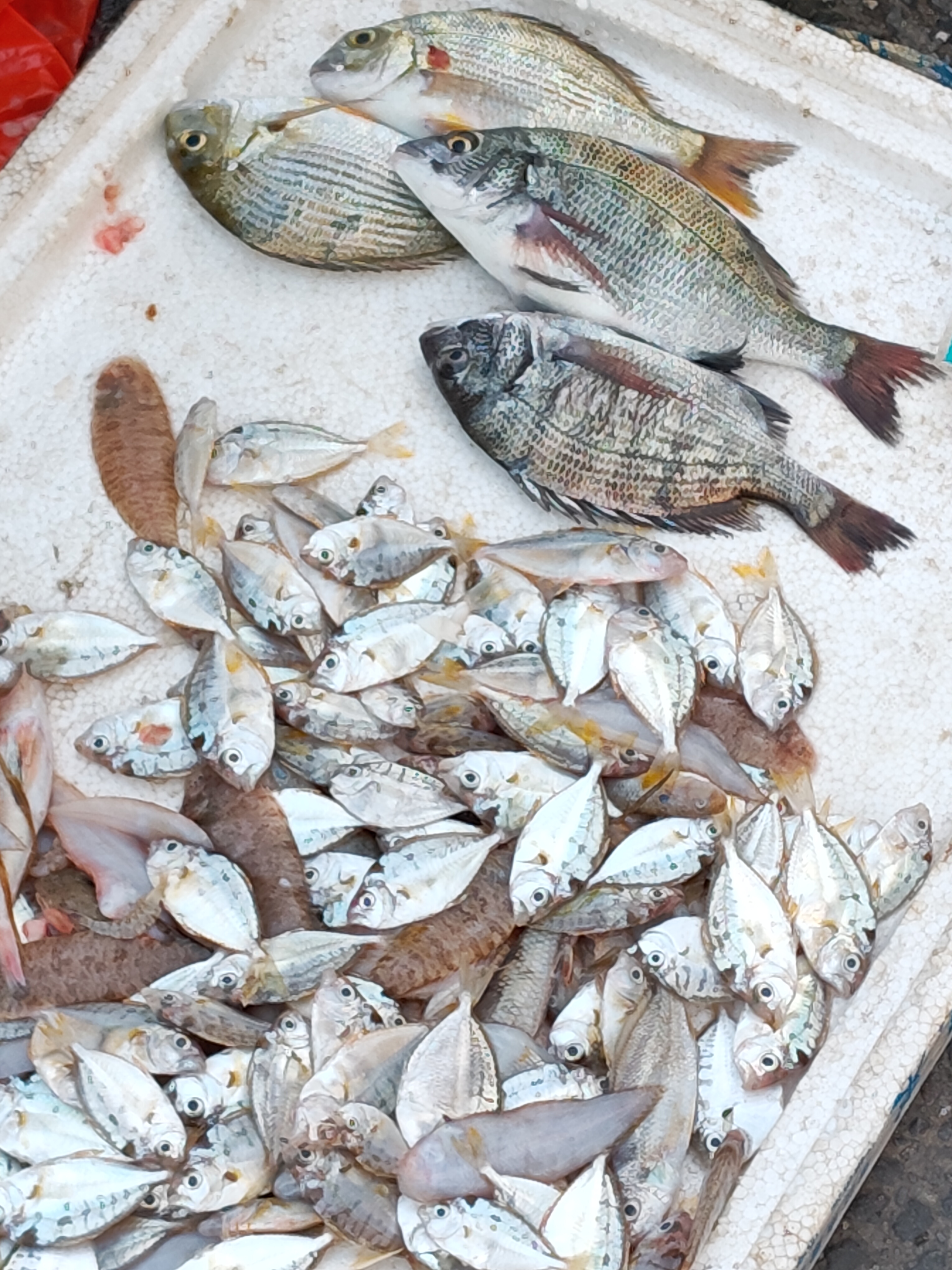 街边小海鲜记录