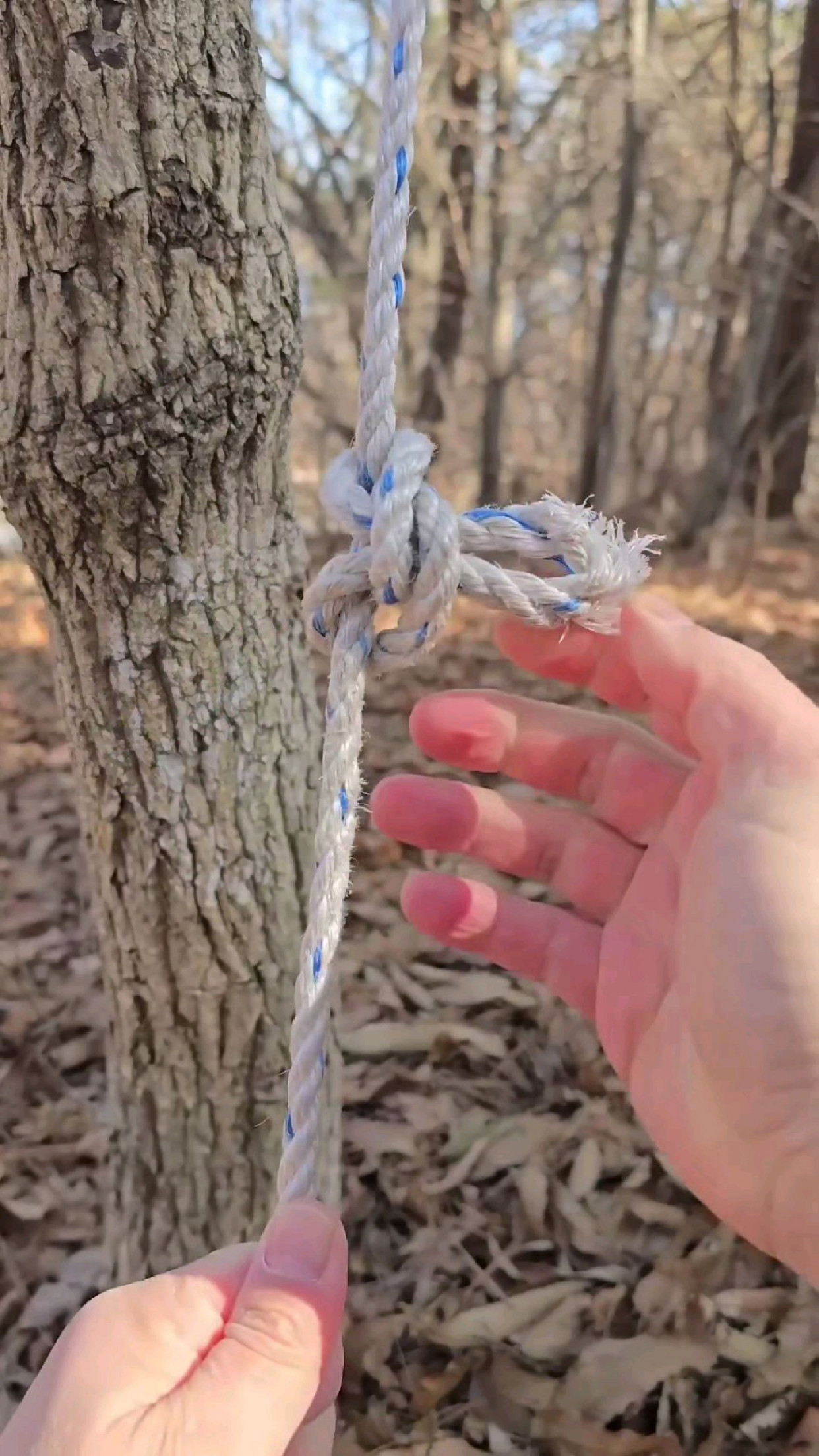 绳子断了,如何将其快速修复到完美如初?这比原来还抗拉呀!