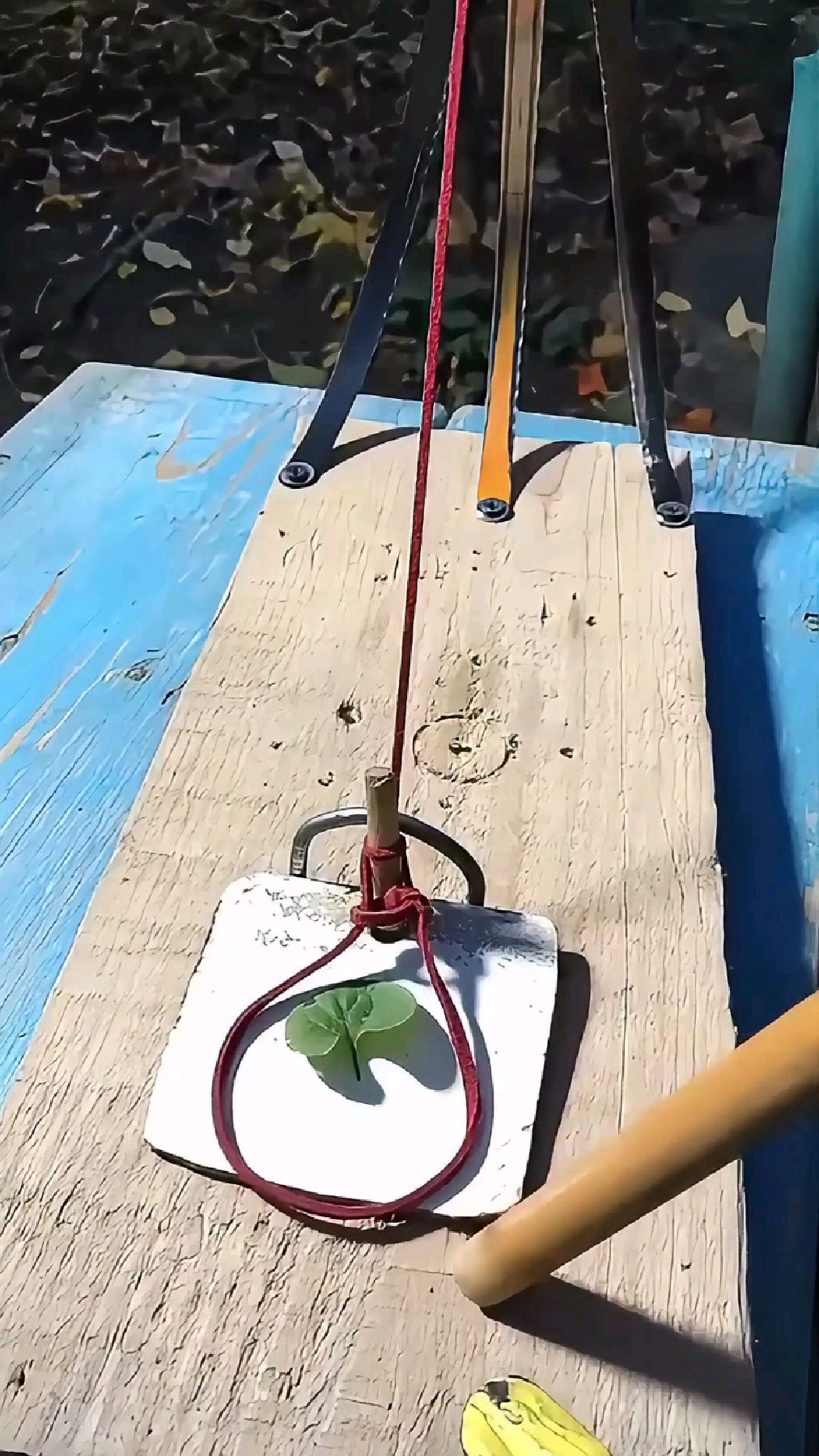 荒郊野岭独自一人,如何自制一个抓老鼠陷阱快速充饥?