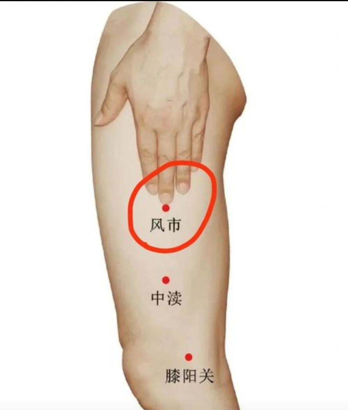 探秘风市穴守护健康的神奇开关