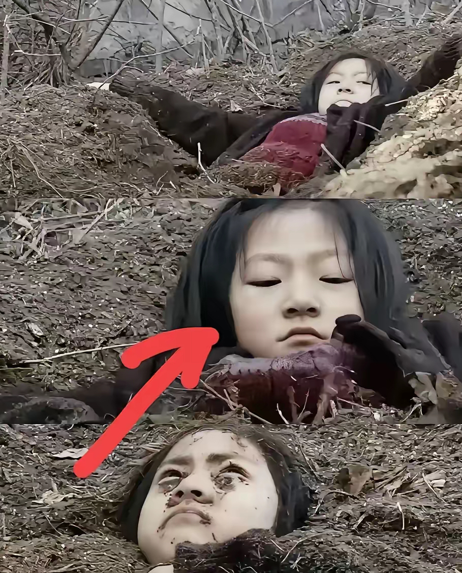 金赛纶根本就是有意为之