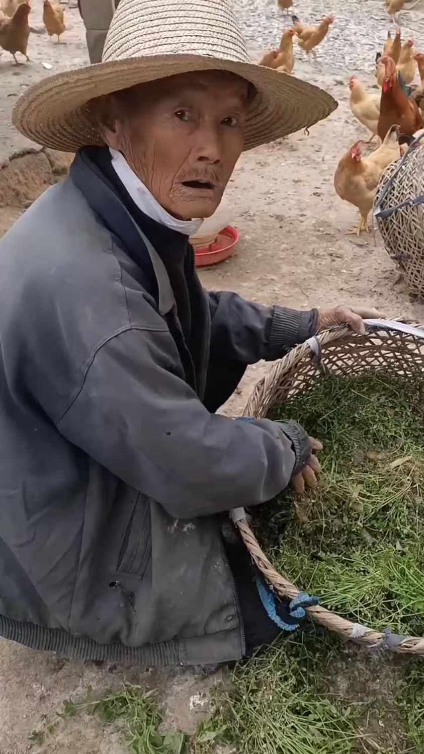 村里老大爷养鸡多年的经验