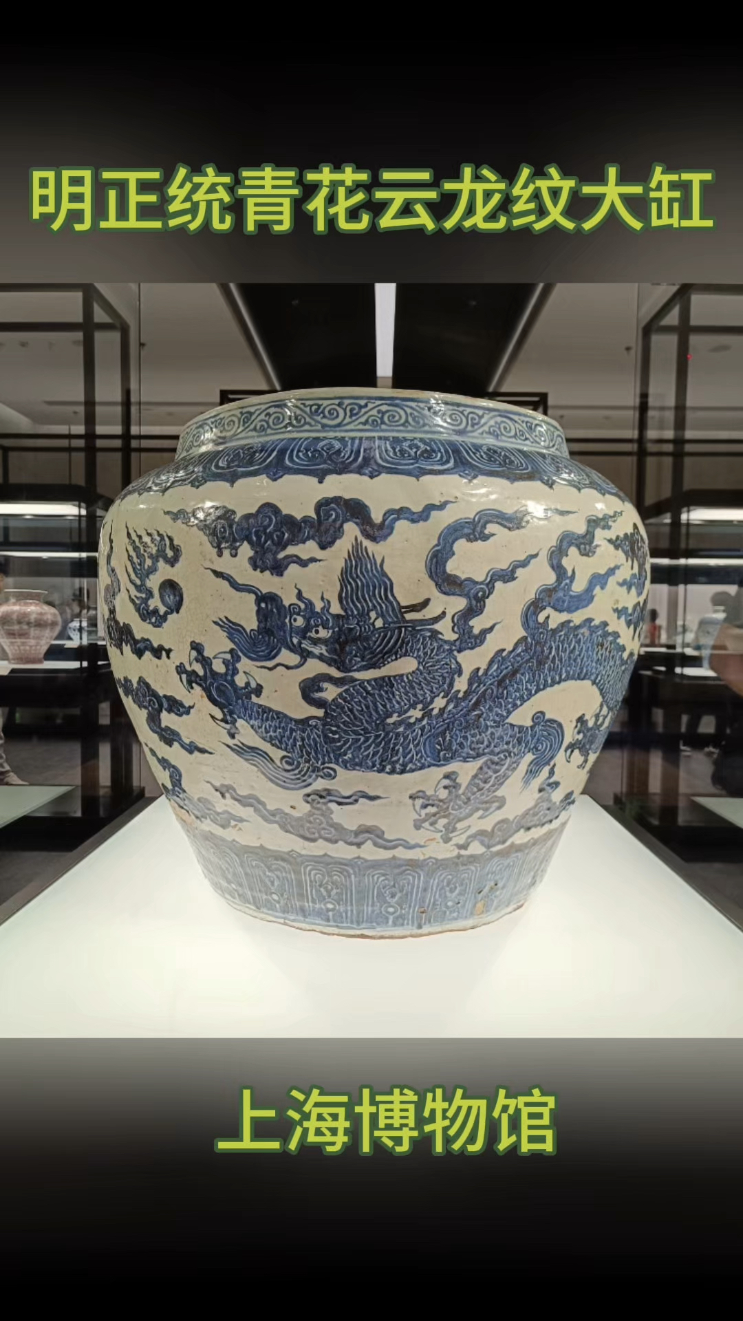 上海博物馆藏 明正统青花云龙纹大缸
