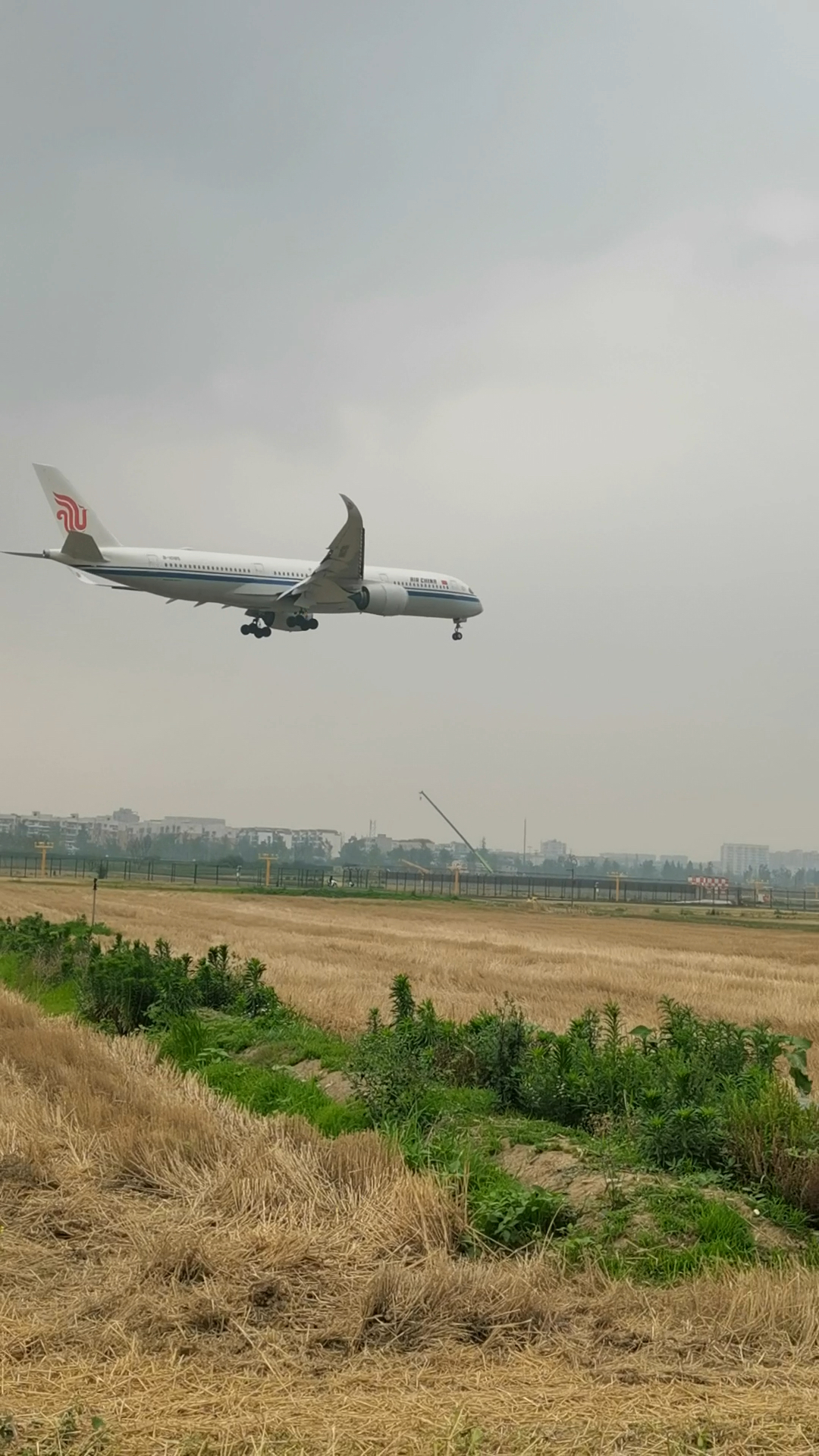 实拍国航大飞机从麦田上空经过降落一跑道