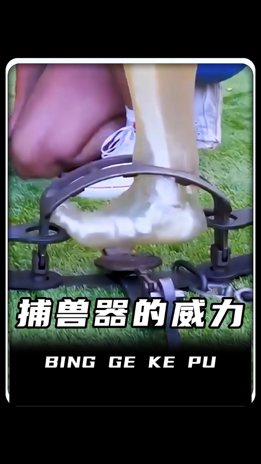 我一直很好奇捕兽器是如何抓住野猪和黑熊的