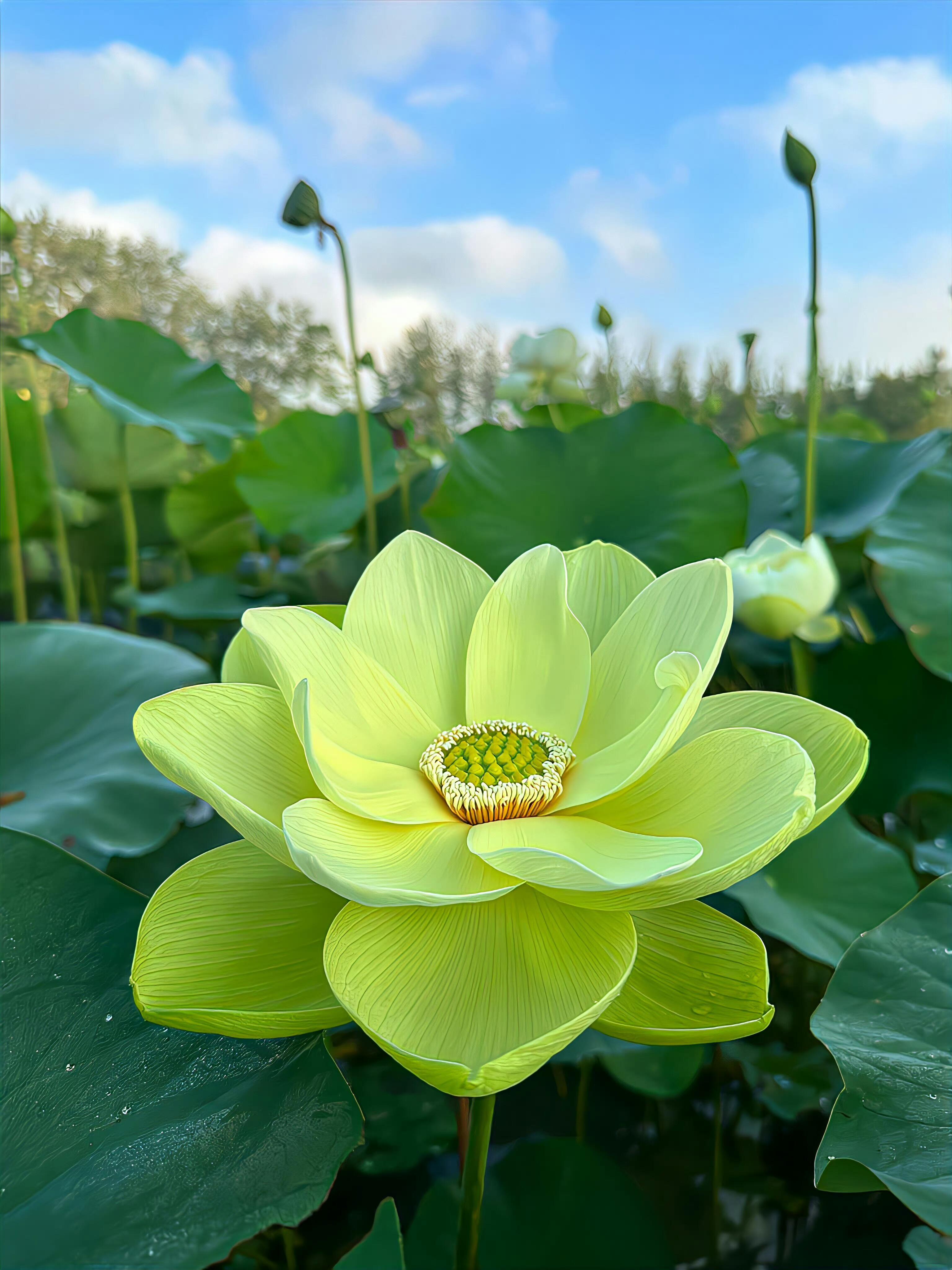 他们虽然贫穷,但是穷的正直,穷的坦荡,穷的光明