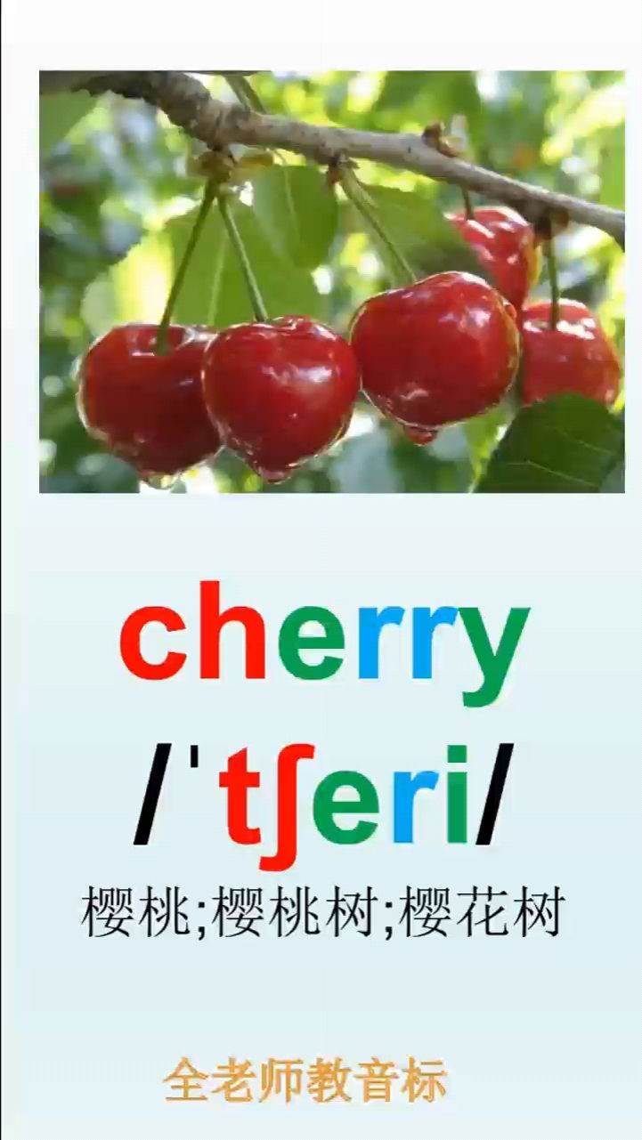 樱桃树车厘子的英语是什么,音标如何拼读cherry