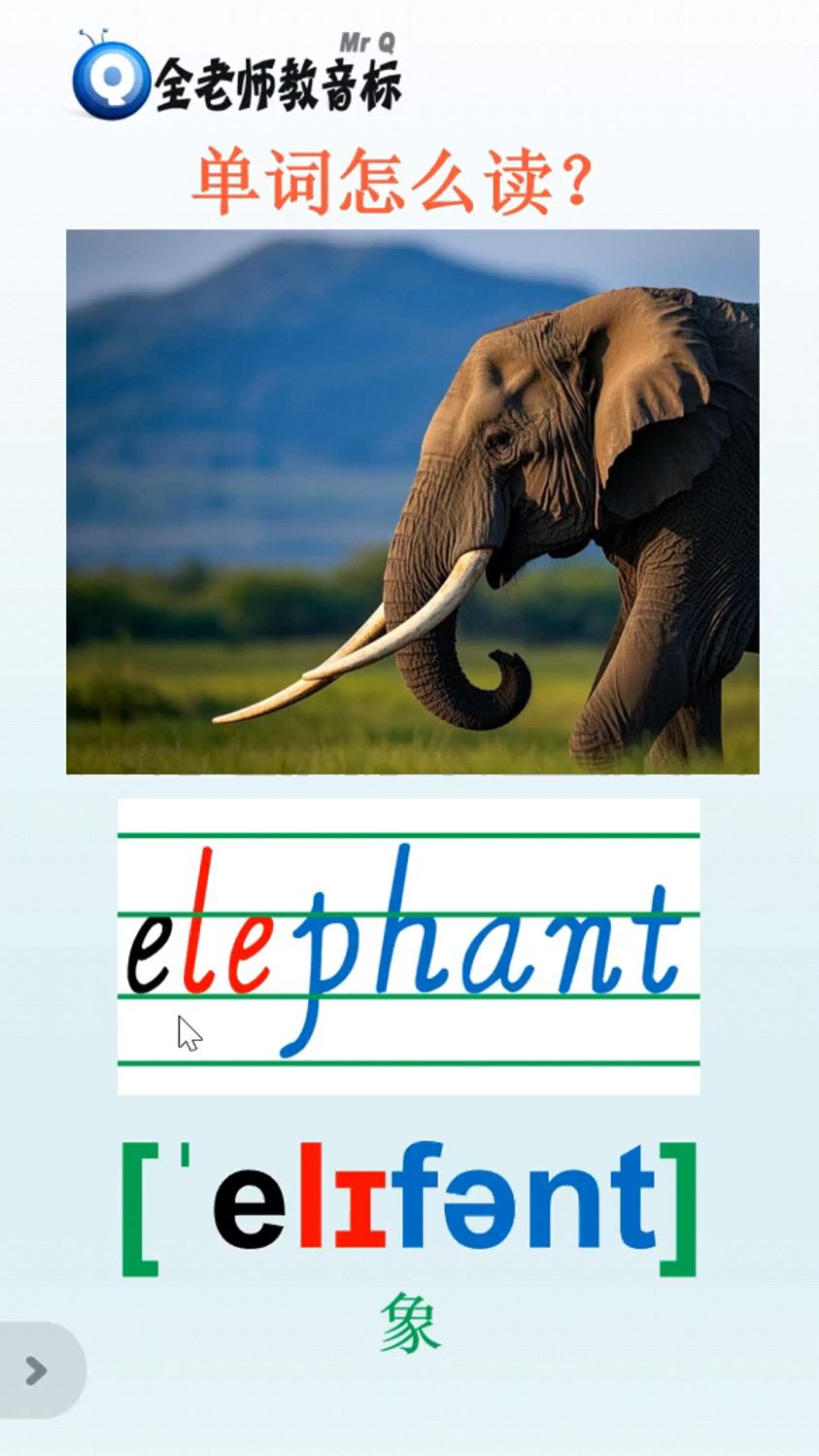 大象elephant怎么读,音标如何拼,四线三格书写