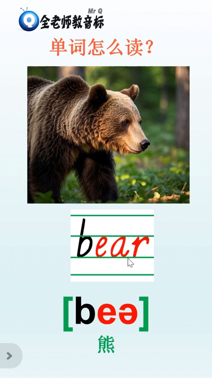 熊bear怎么读,音标如何拼,四线三格中怎么写