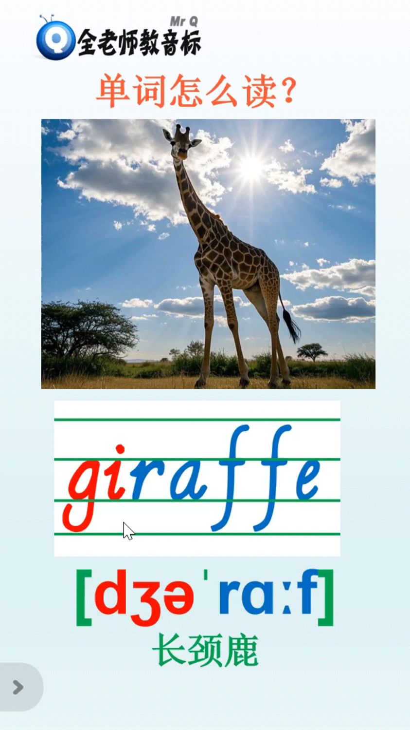 长颈鹿giraffe怎么读,四线三格中怎么写
