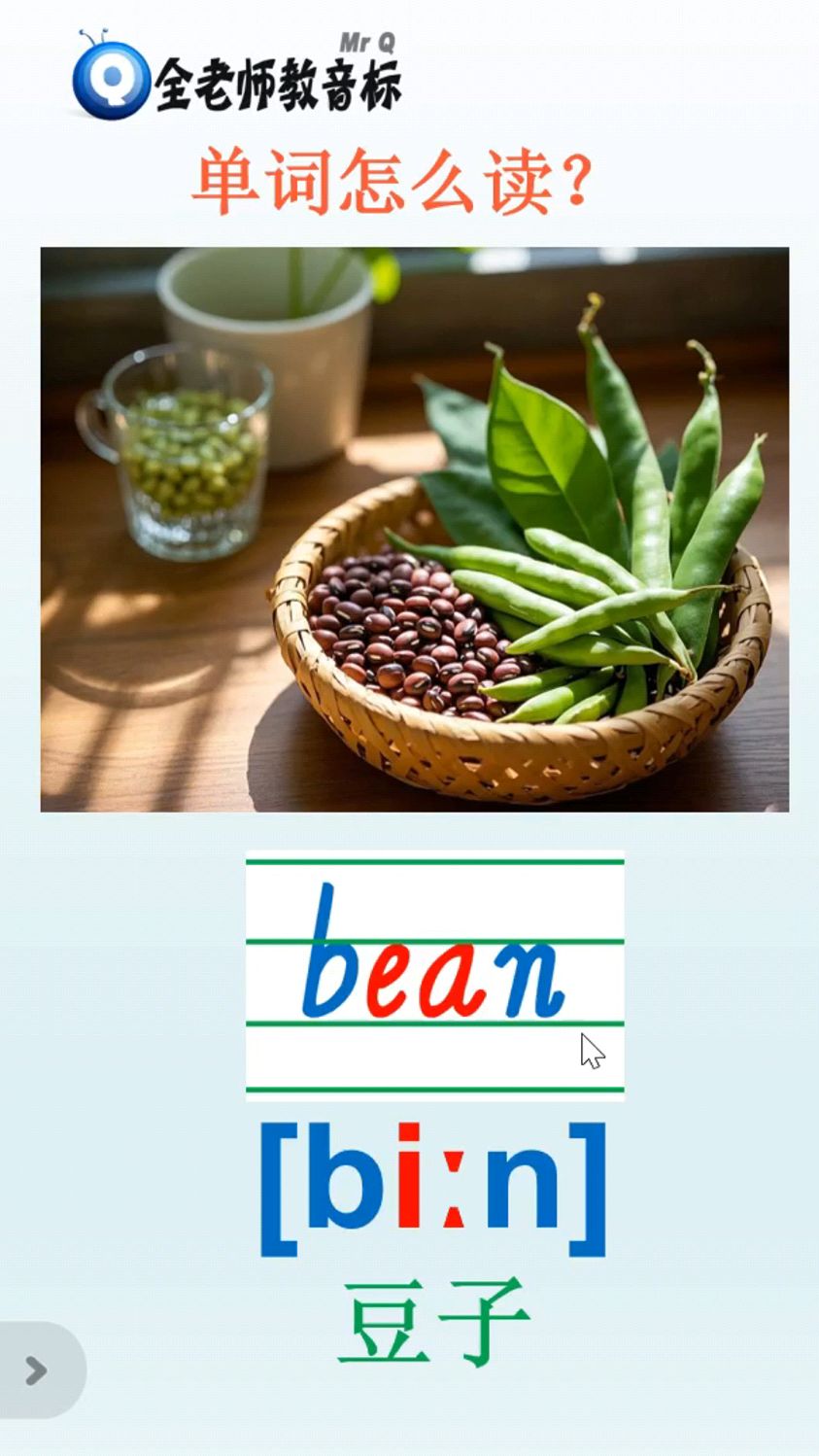 豆子bean怎么读,英语音标如何拼