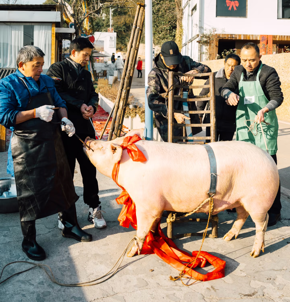 我是湖南娄底的,在娄底,一进腊月,"年"的脚步就近了