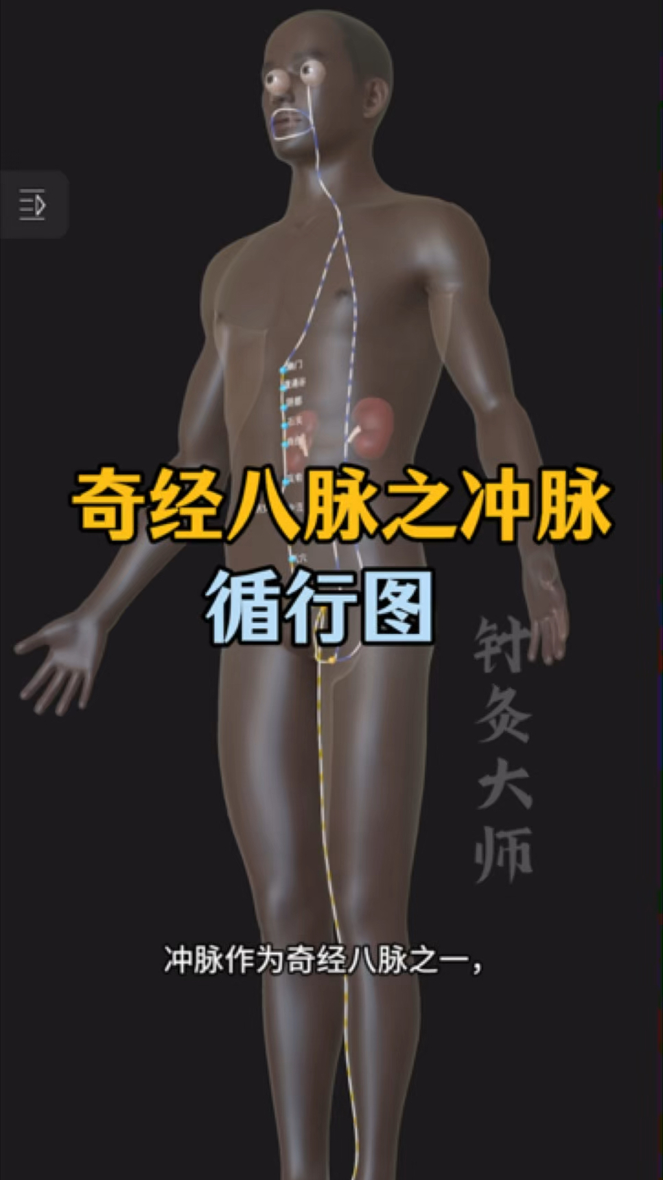 奇经八脉之冲脉循行路线图