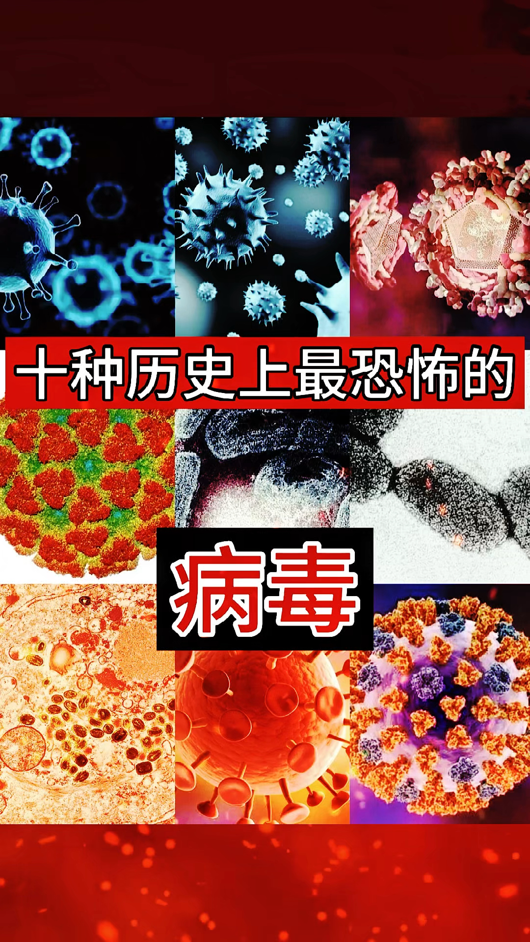 病毒最怕的是什么