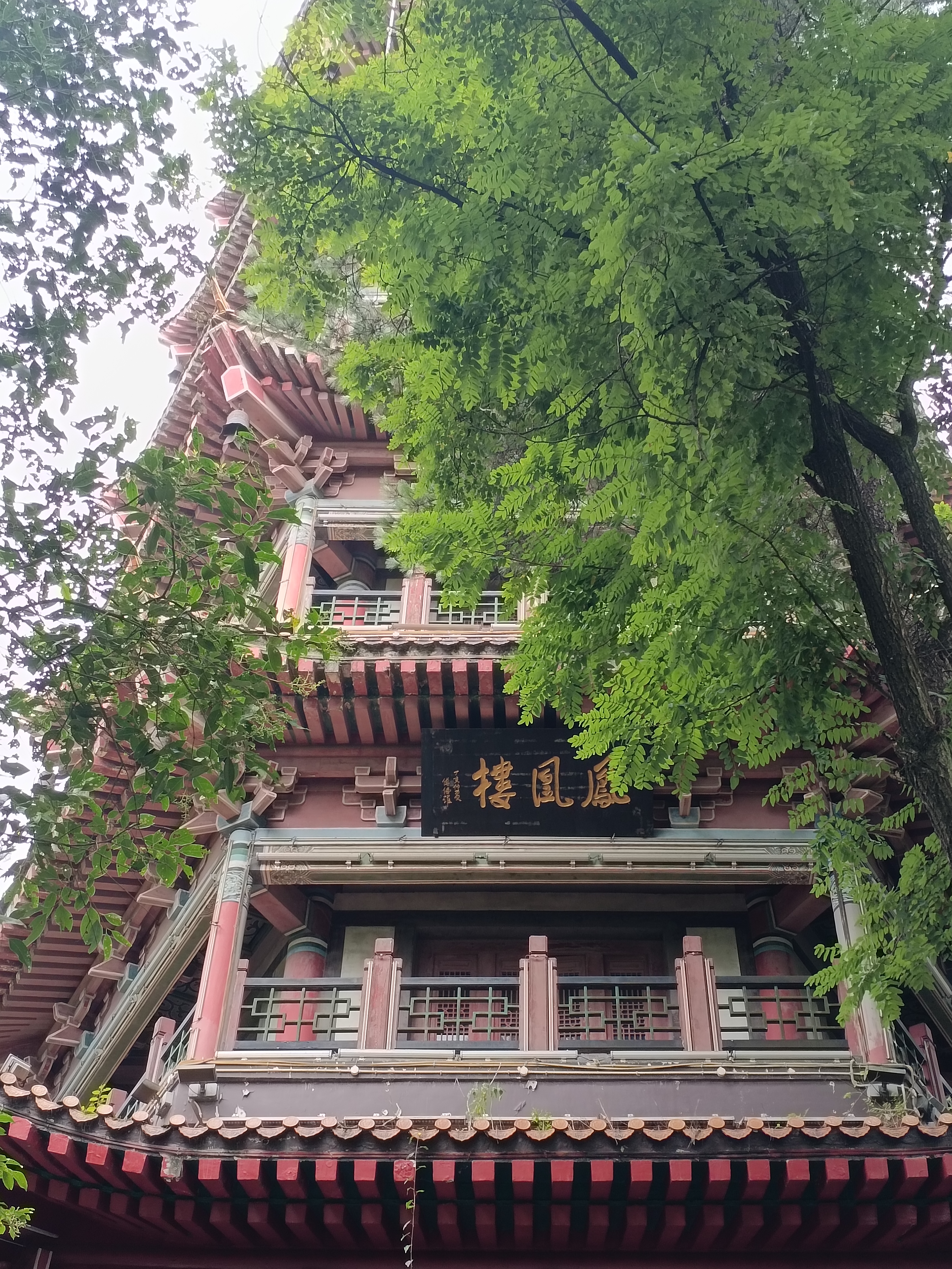 她也不墨迹,直接切入主题:过来帮我整点业绩!