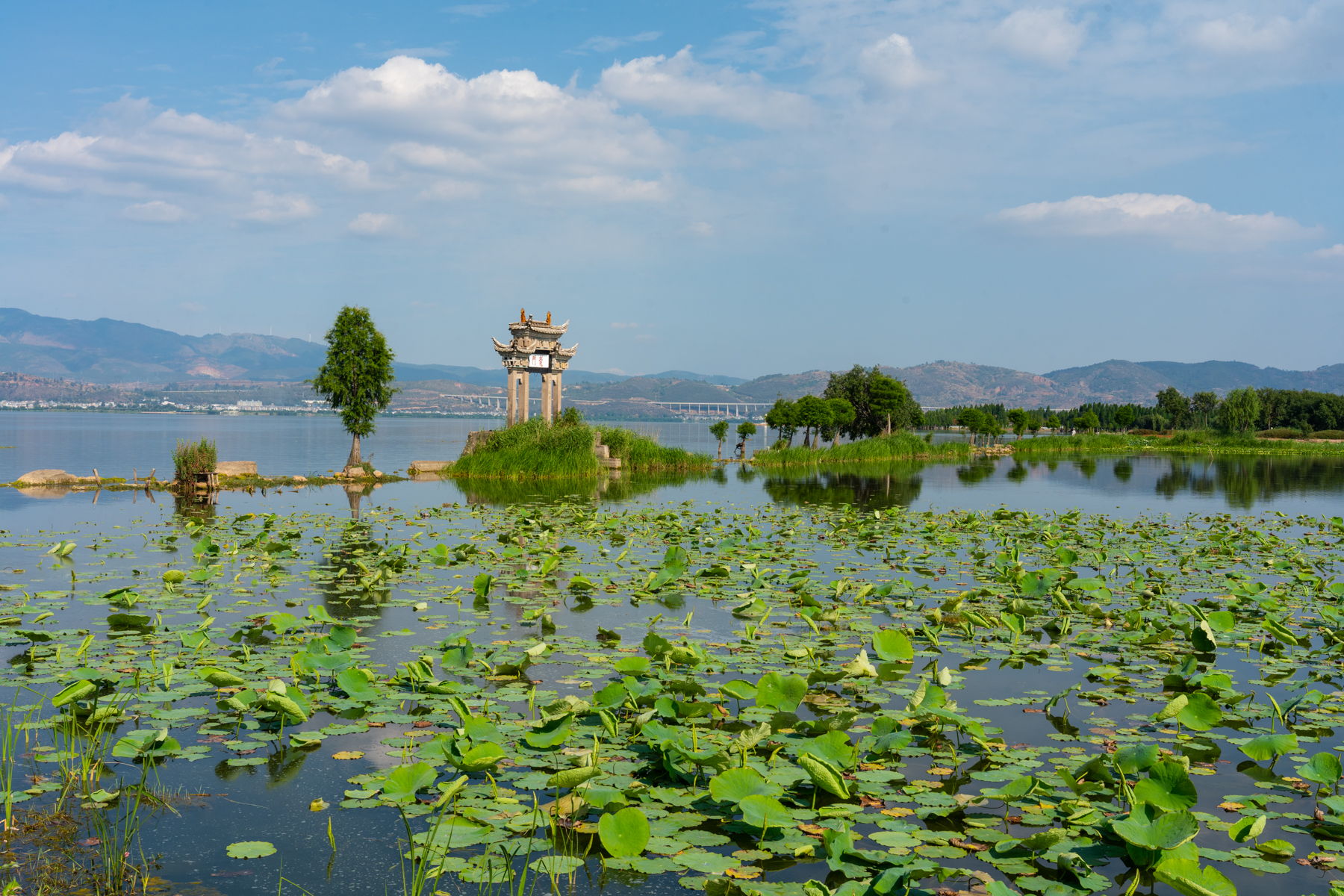星云湖是云南九大高原湖泊之一,与抚仙湖仅一河之隔,下午从星空小镇