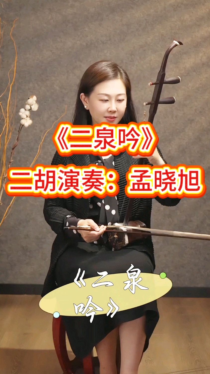 《二泉吟》二胡演奏:孟晓旭