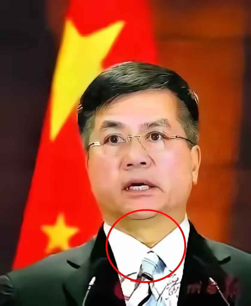 骆家辉退休了,想来东方大国市场捞金,没想到遭到网友们的坚决反对