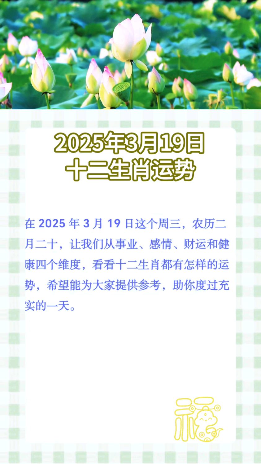 生肖206年3月运势(2063年属什么生肖)