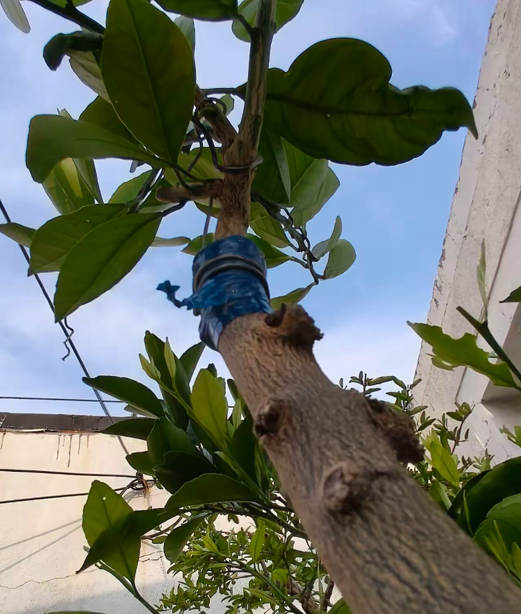 我们班有个孩子,也是运气特别差了,平时物化绝对110