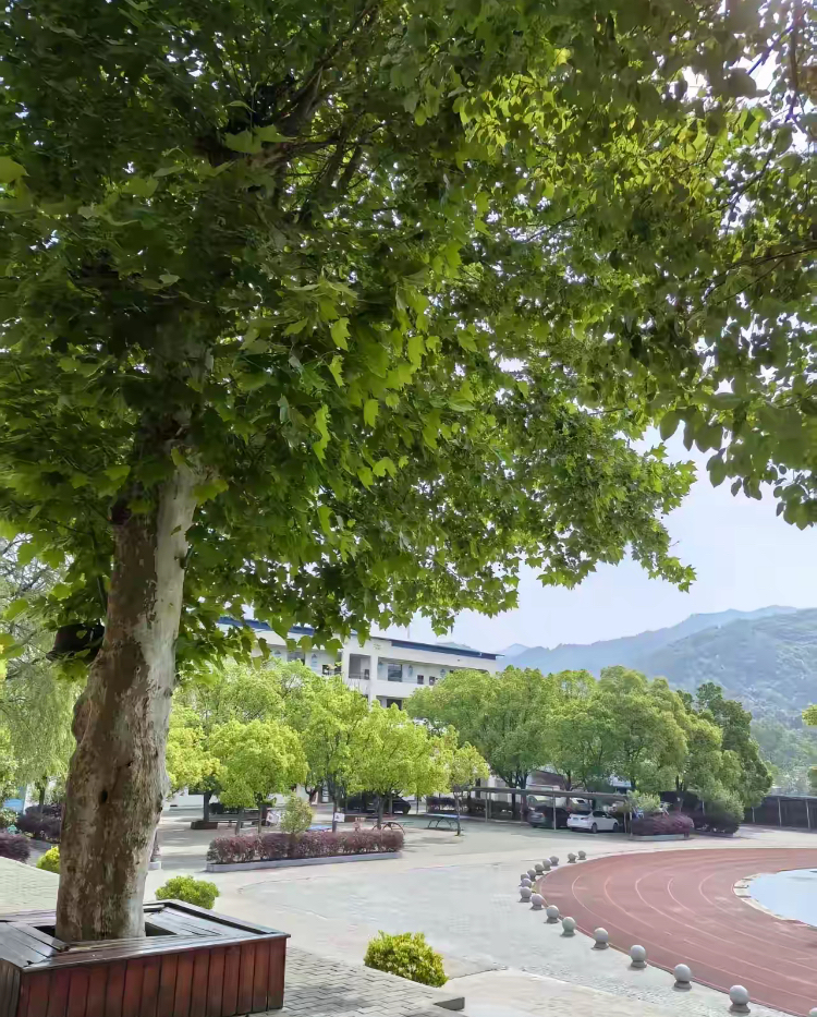 昨天去4s店给儿子看车,买车去了,老公说买大众宝来