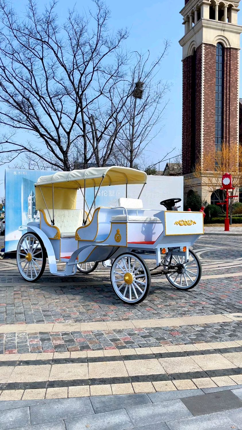 哇,这欧式马车也太漂亮了吧?