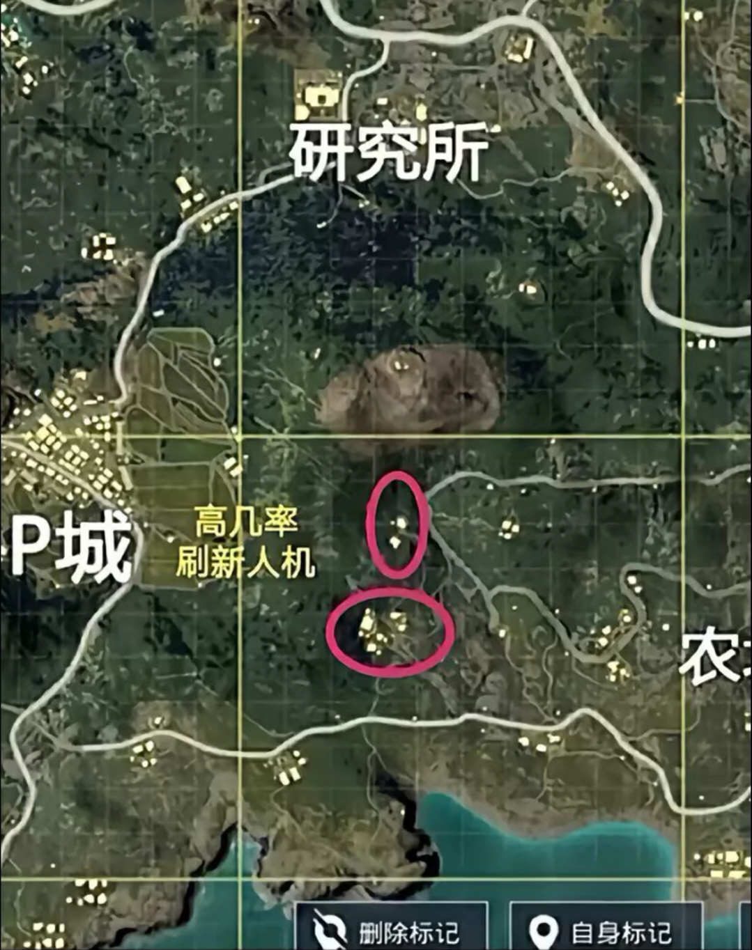 和平精英海岛攻略 #和平精英