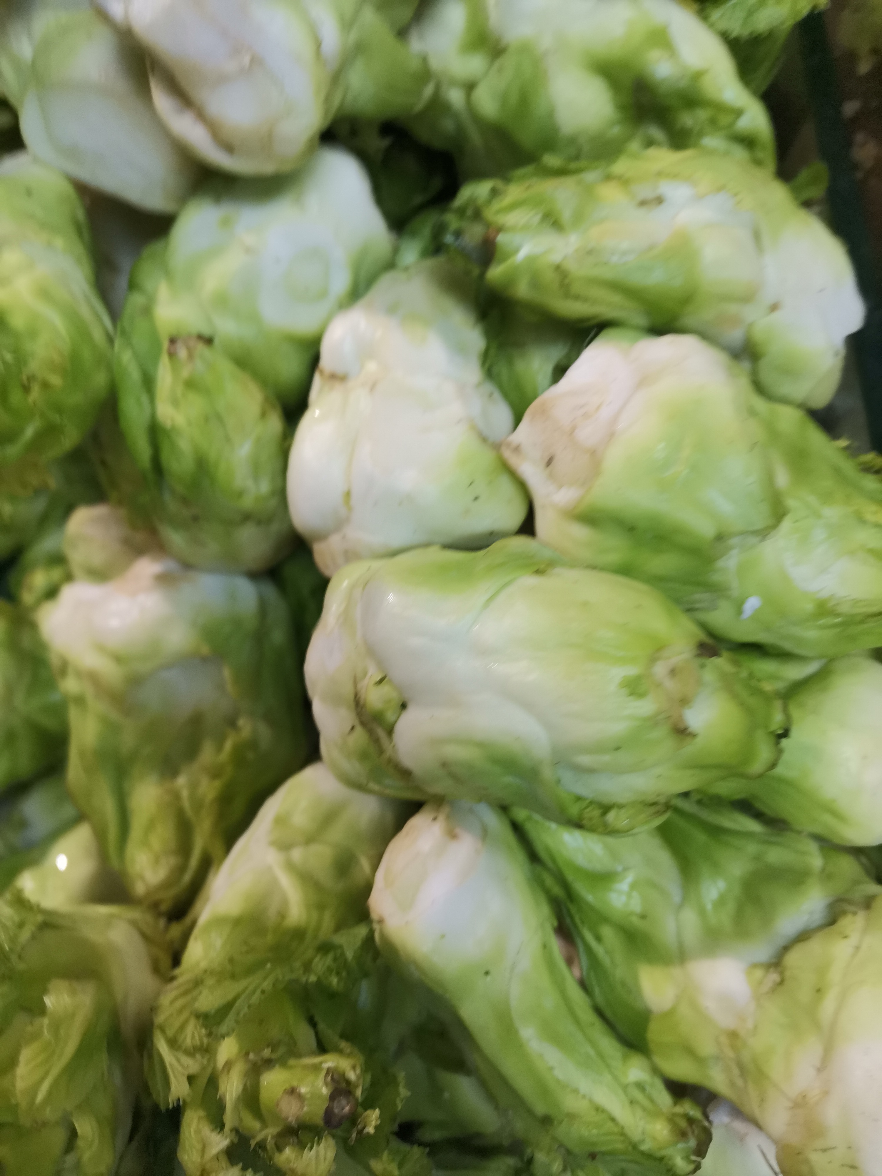 春日养生季 上次买的儿菜炒的太久了煮出来的儿菜都太柔软了没有