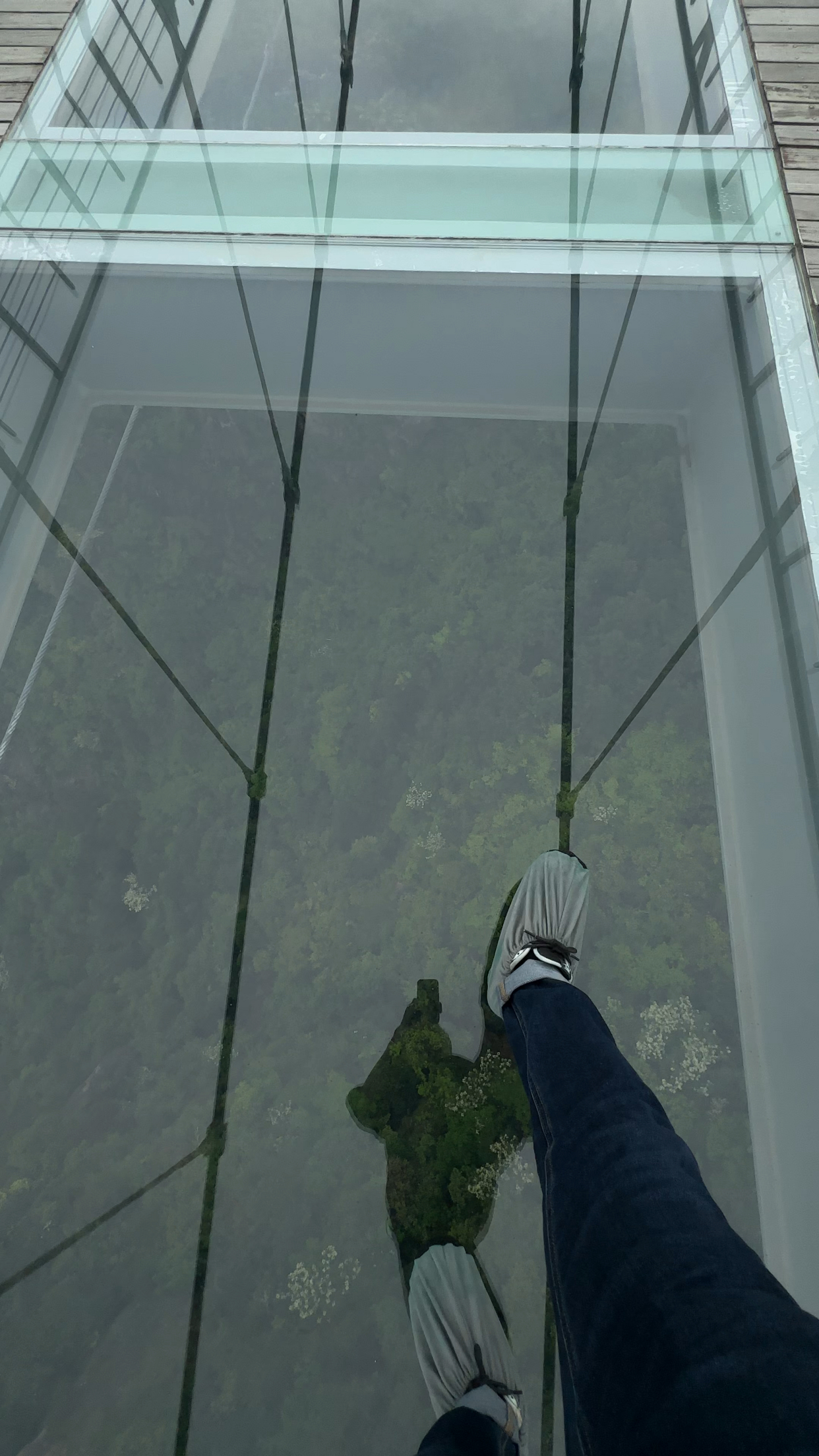 玻璃栈道走起来没有想象的害怕