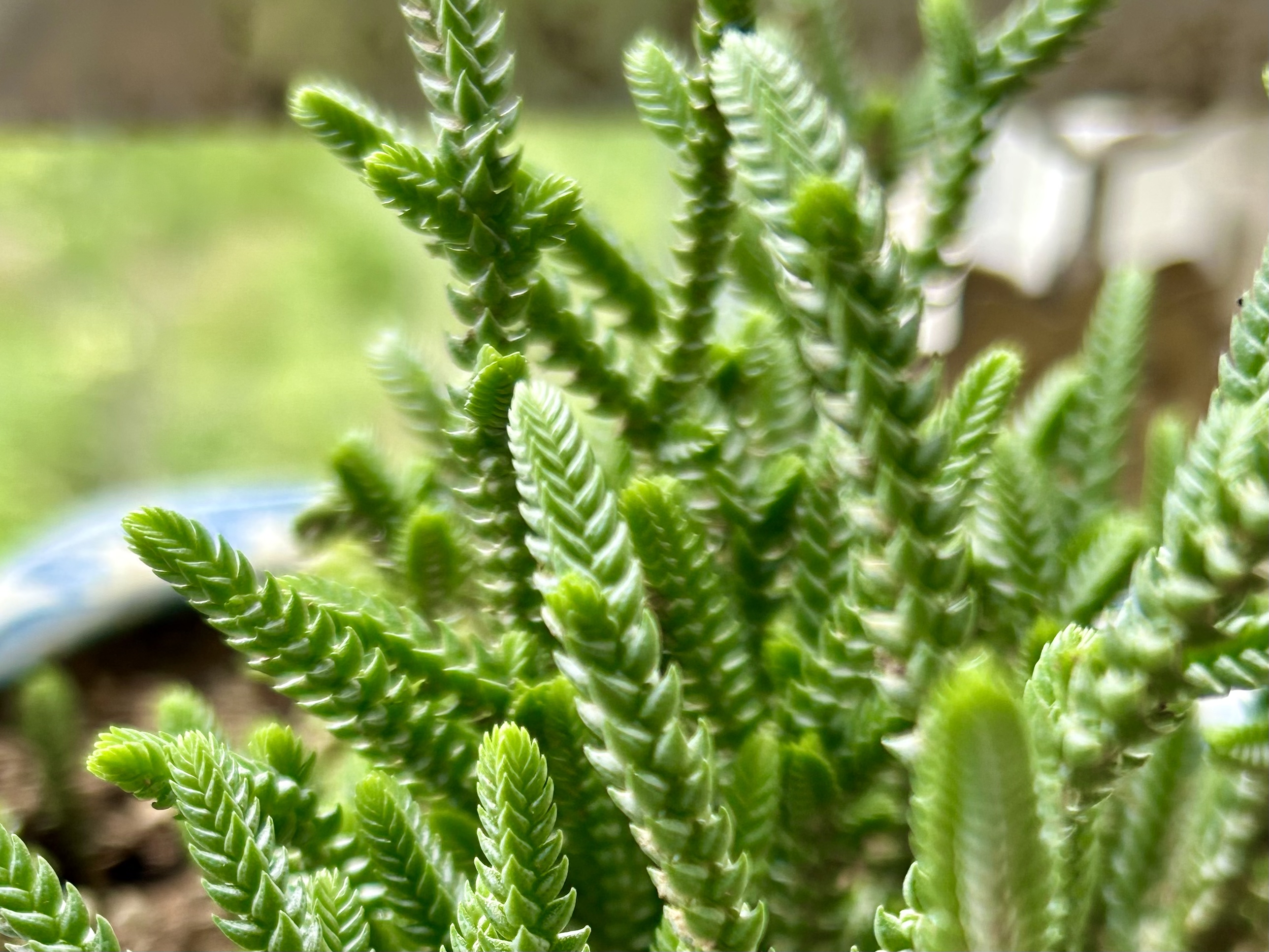 人生一世,想要活得轻松,过得愉快,就得学会看淡而后