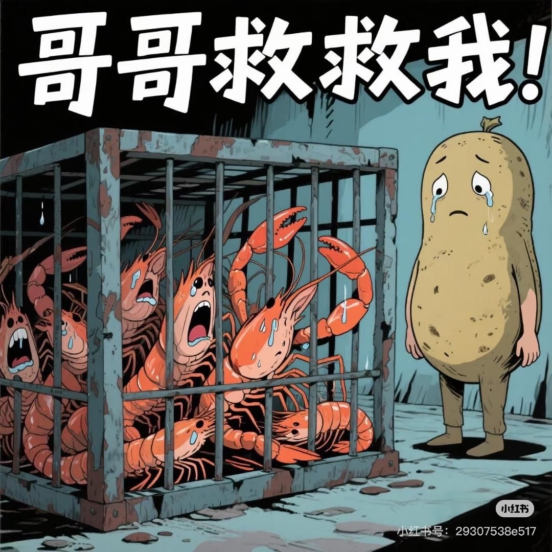 都知道淇圈人才济济,果不其然