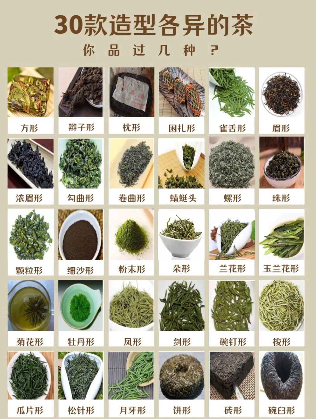 扁形茶光扁平直,针形茶细紧圆直,螺形茶紧结如螺,每种形状都有它的