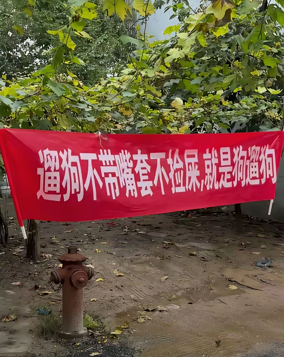 物业挂出了这横幅小区养狗人士都不服说这样太侮辱人了大家帮看看