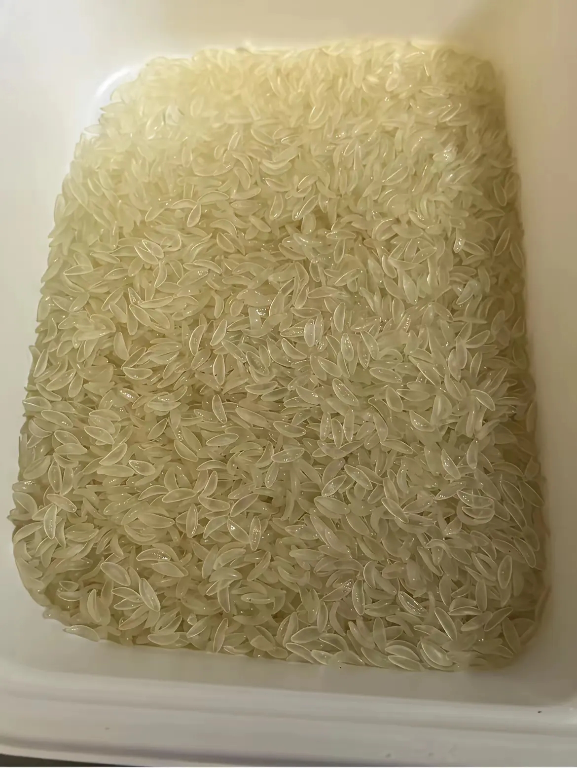 这是什么大米啊?看起来晶莹剔透的,也不知道好不好吃;有吃过的吗?