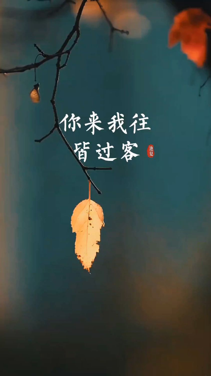 何为遗憾,你来我往皆过客