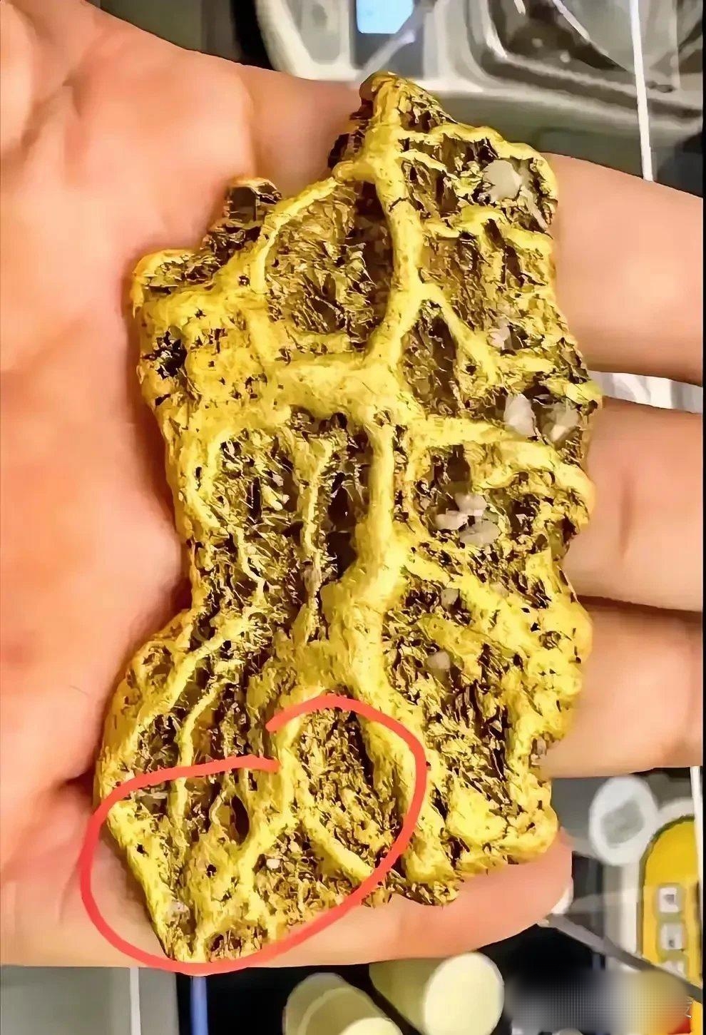 走着走着,女子在沙滩上一脚踢到个金黄色的东西