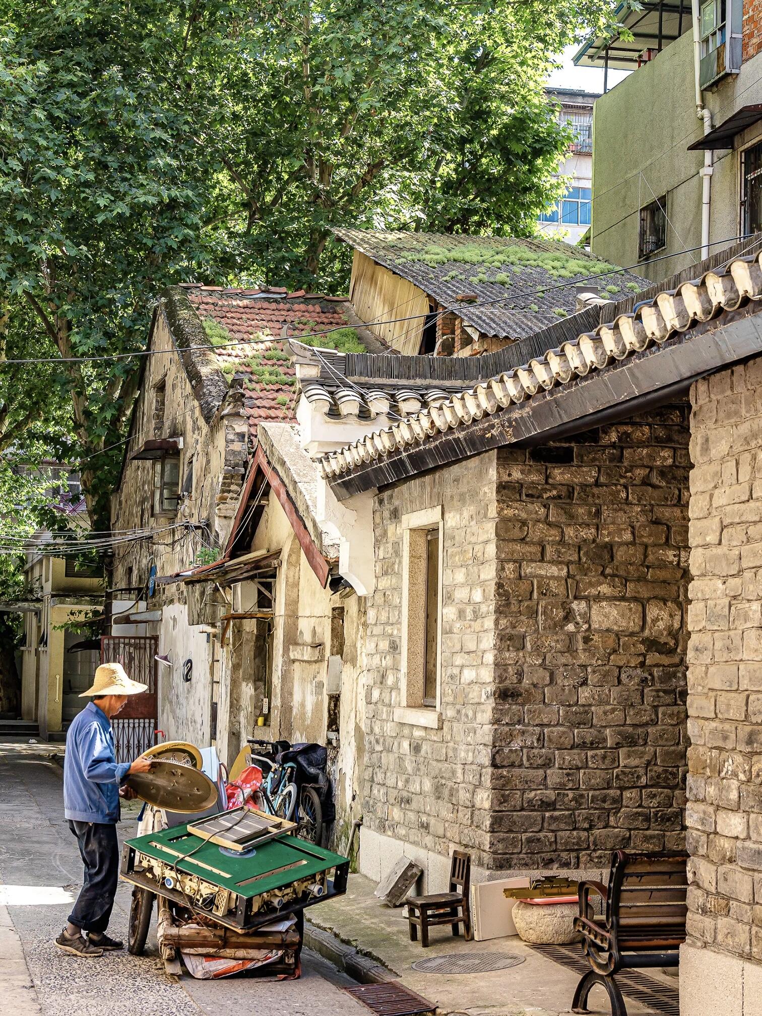 再瞅瞅墙上肆意生长的藤蔓,心里一下子就养虎巷天津老胡同照片先农老