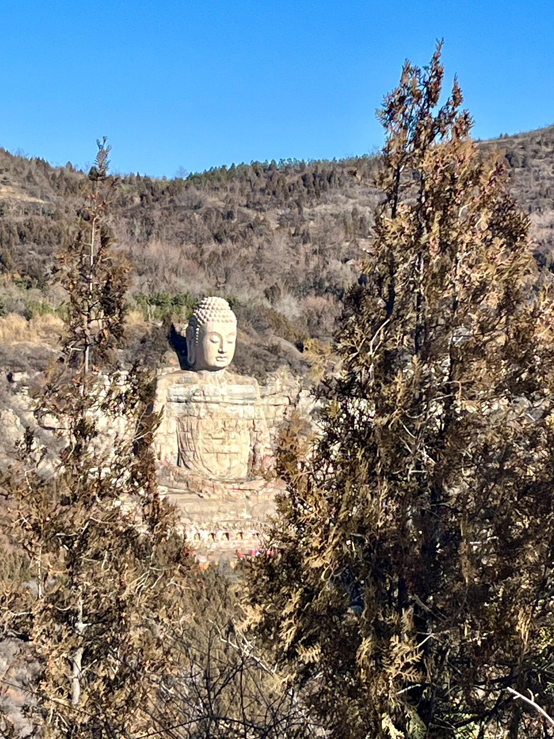 就因为我这段时间去了天龙山石窟佛回寺石窟啥的全都是南北朝时期的