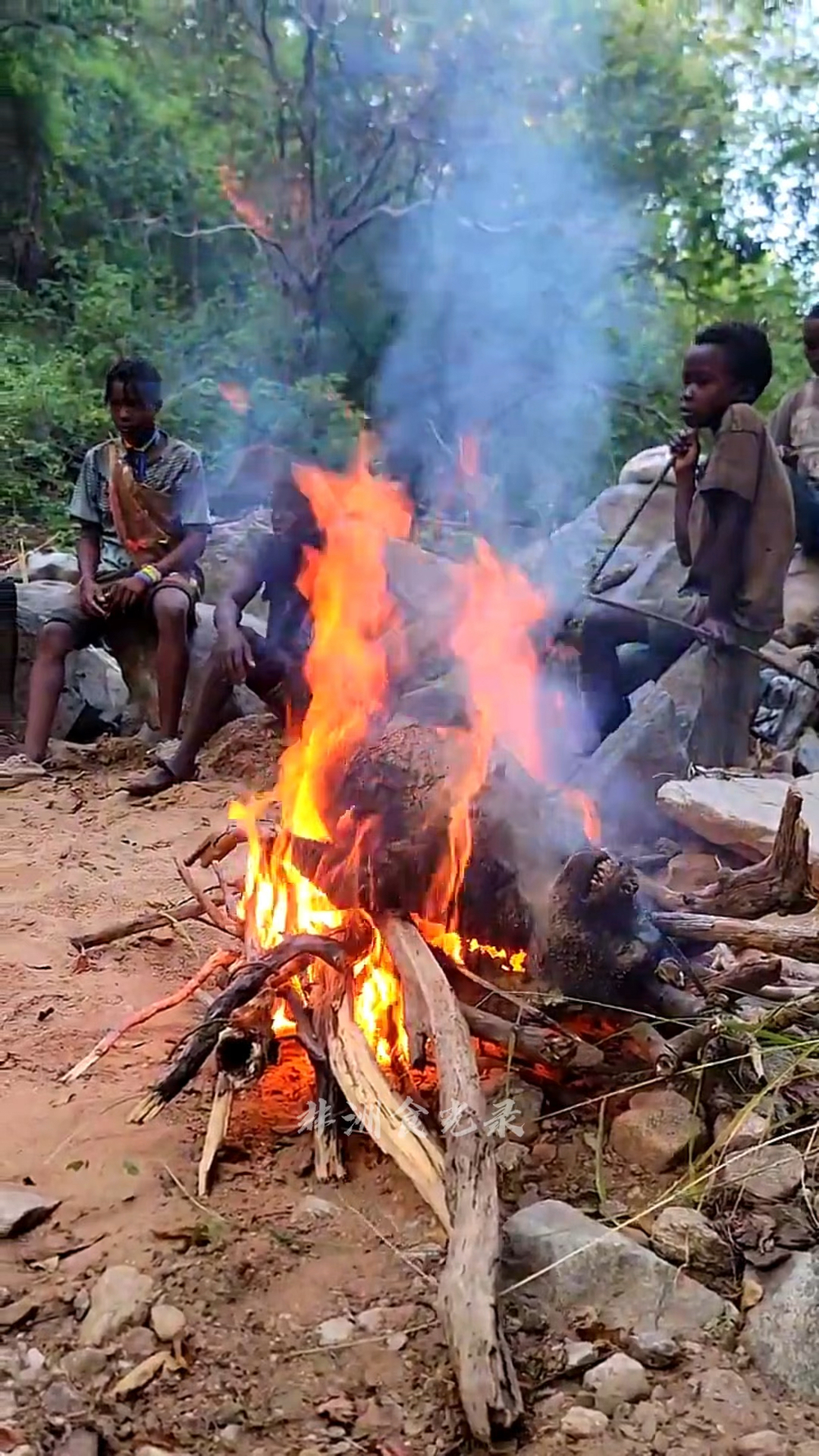 火烤狒狒,看看哈扎比部落的美食有多美味#原始部落#非洲生活