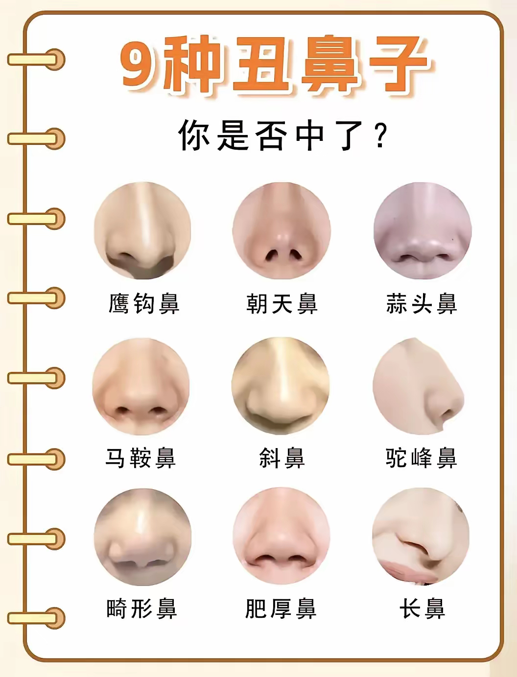 9种丑鼻子,你是否中了?哪种鼻子才算真丑?