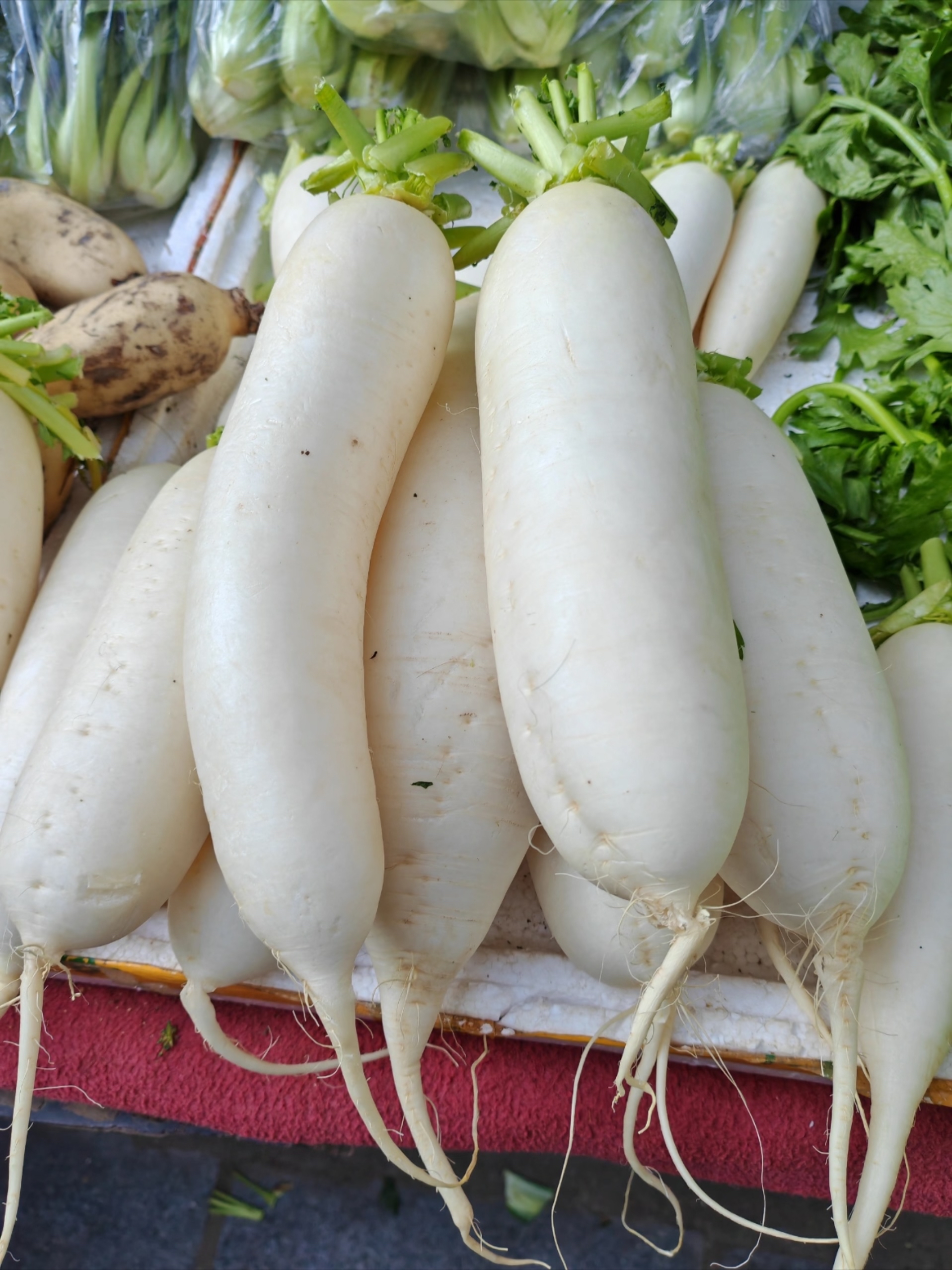 可以马上吃几片生的白萝卜,细细地嚼碎了,慢慢地咽下去