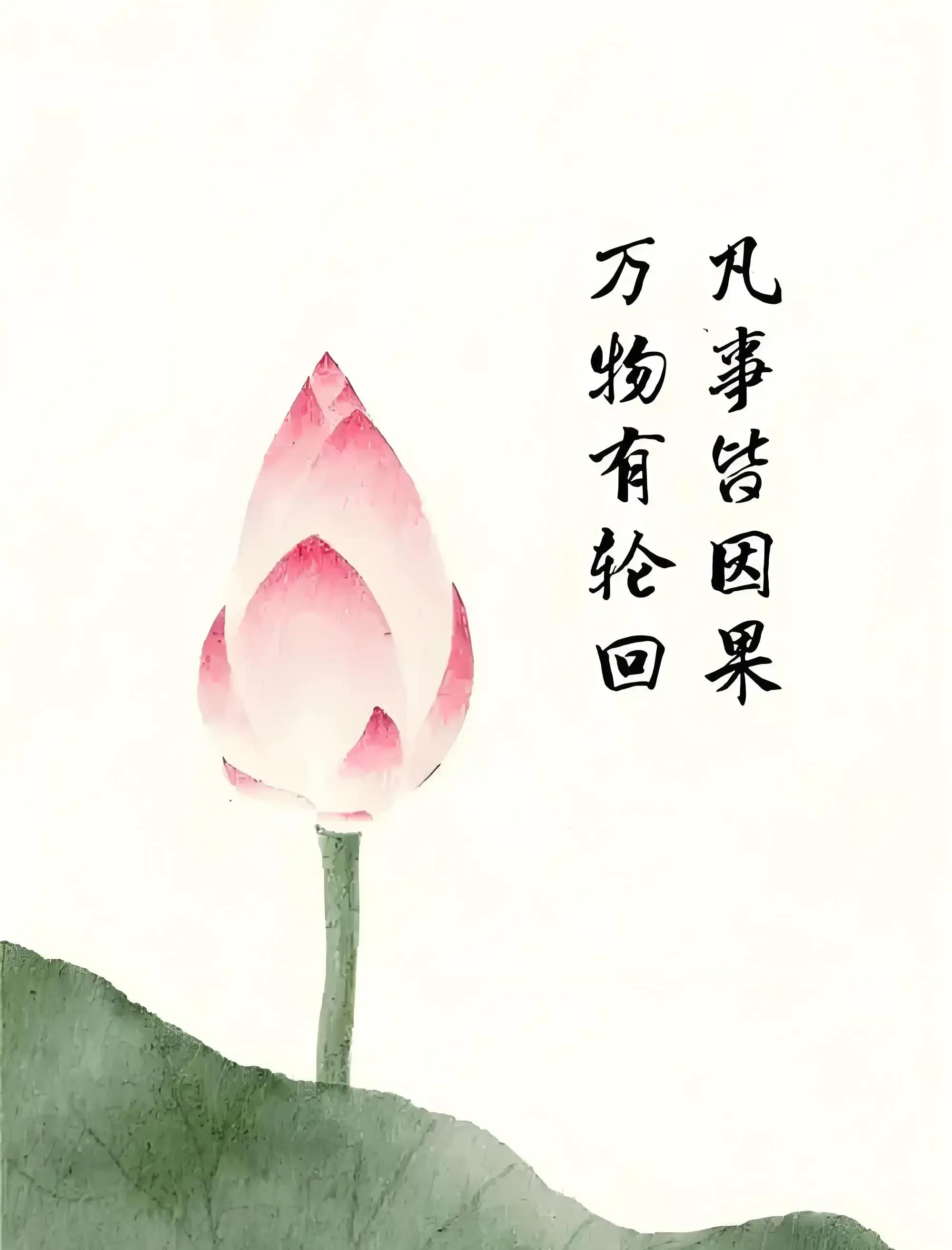 12条因果定律每条都发人深思